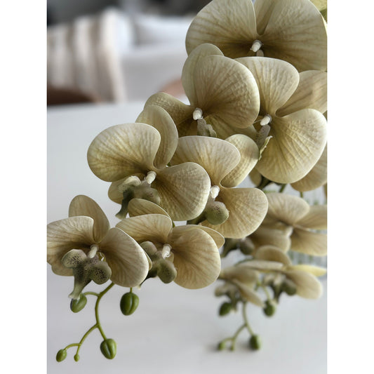 Jardin Orchid Stem Sage
