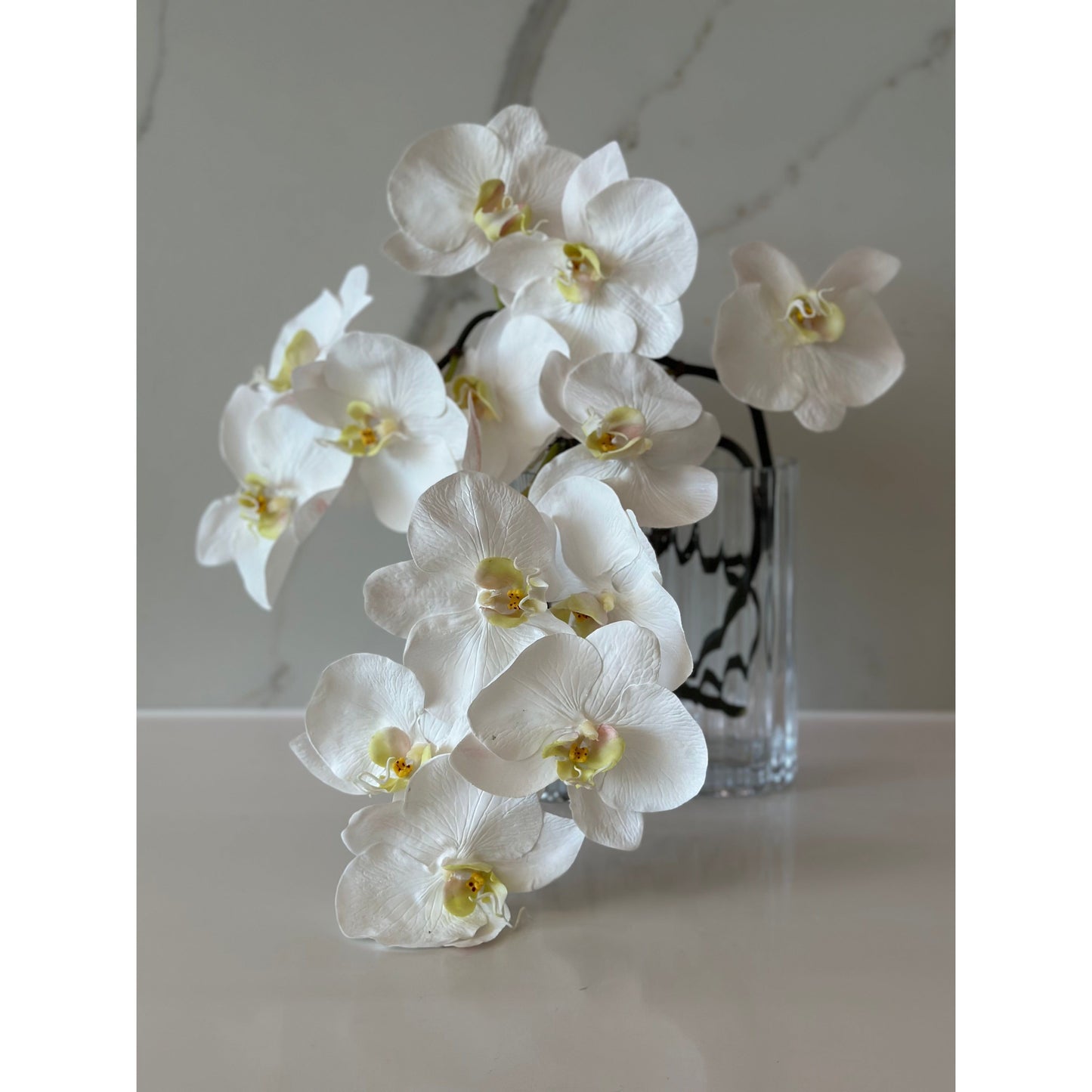 Luxor Arrangement Blanc
