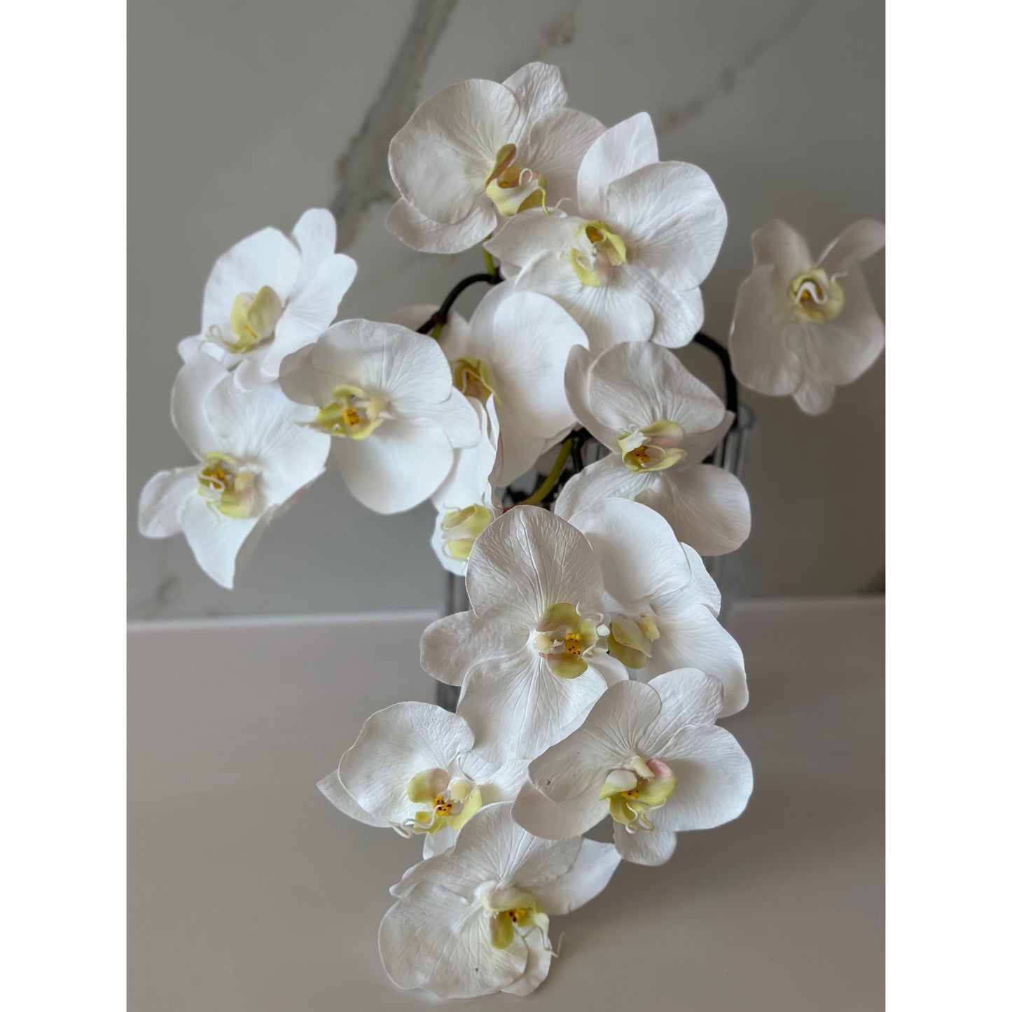 Luxor Arrangement Blanc