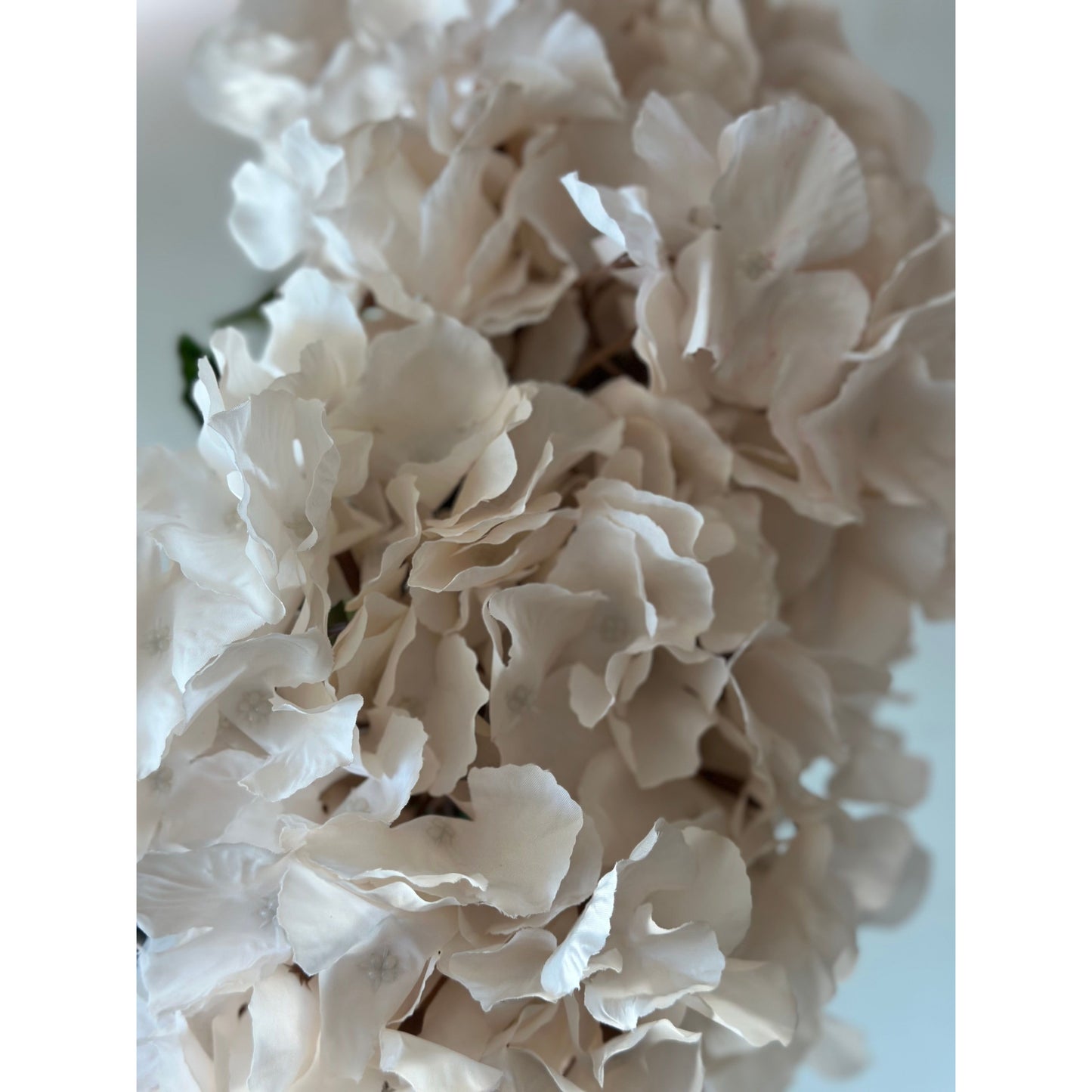 Fraiche Arrangement Blush