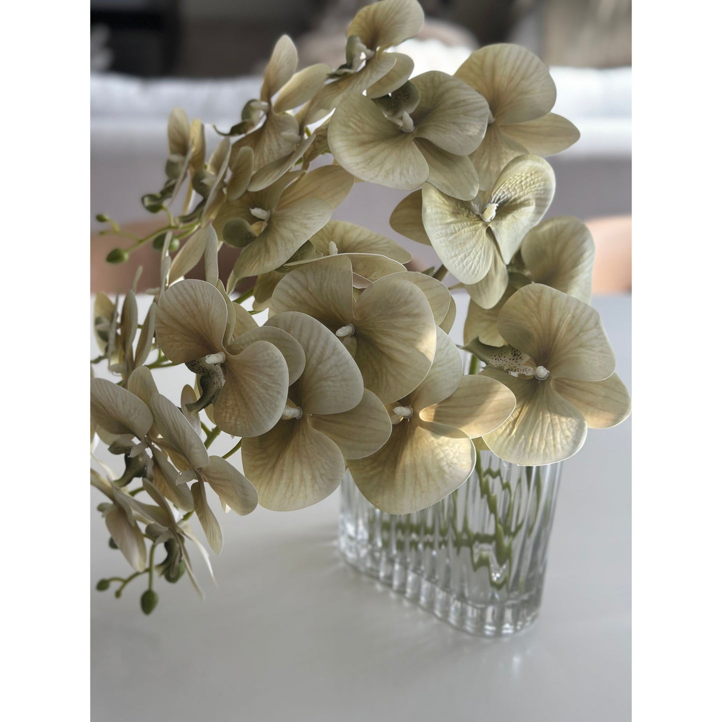 Jardin Orchid Stem Sage