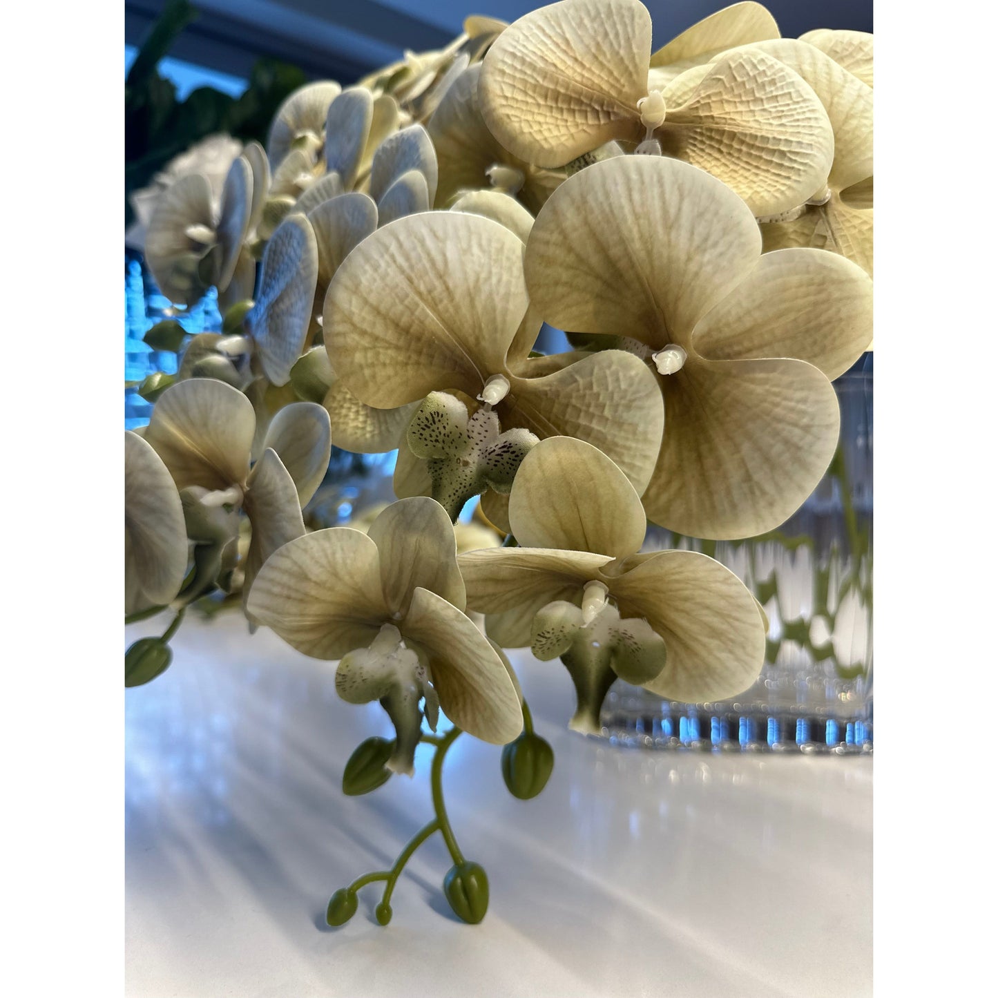 Jardin Orchid Stem Sage