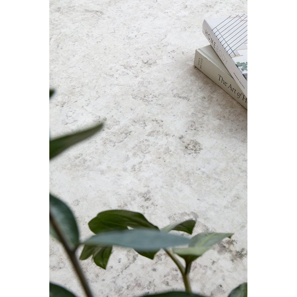 Espoir Rug Oyster