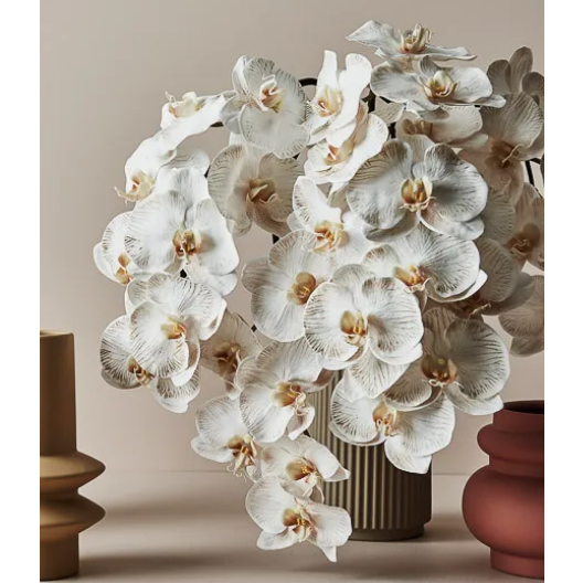 Jardin Orchid Stem Latte