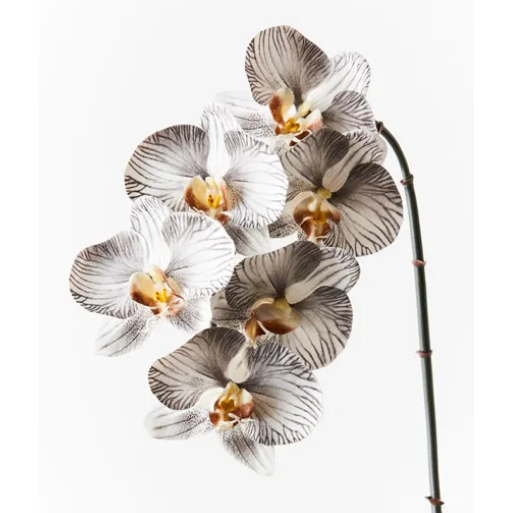Jardin Orchid Stem Pewter