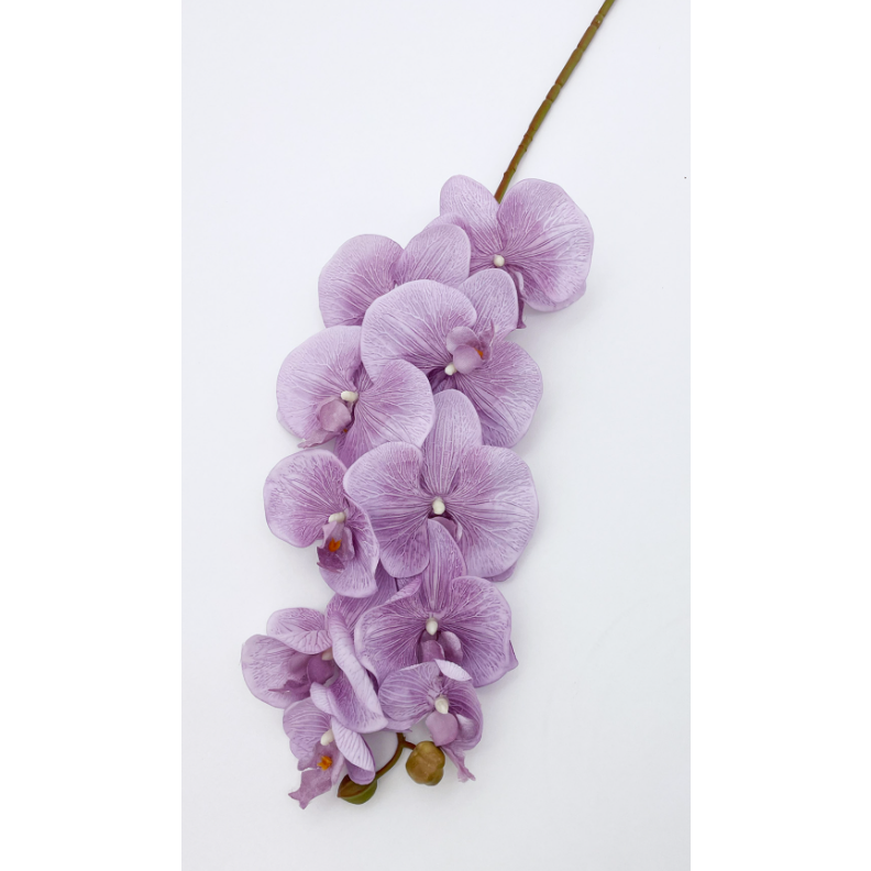 Stella Orchid Stem Lilac