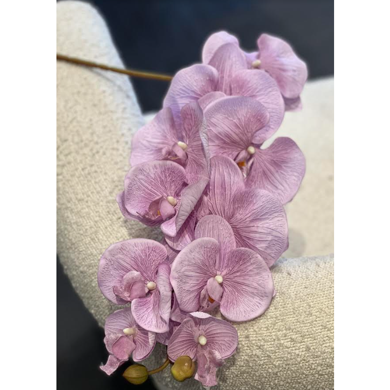 Stella Orchid Stem Lilac