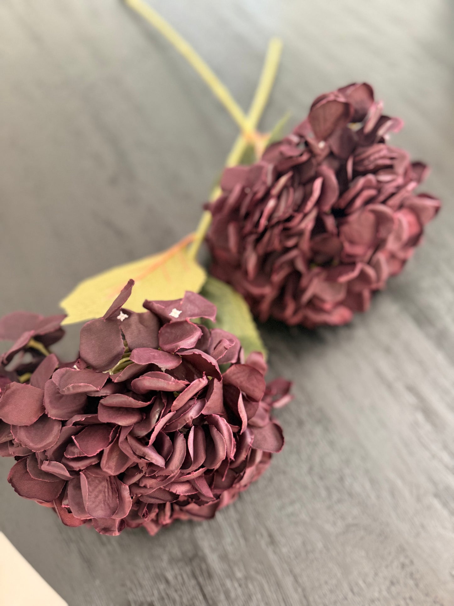Muse Aubergine Hydrangea Bunch
