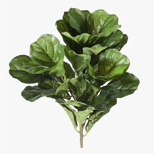 Flora Fiddle Leaf