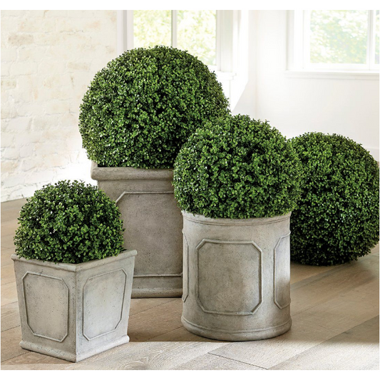 Boxwood Topiary Balls