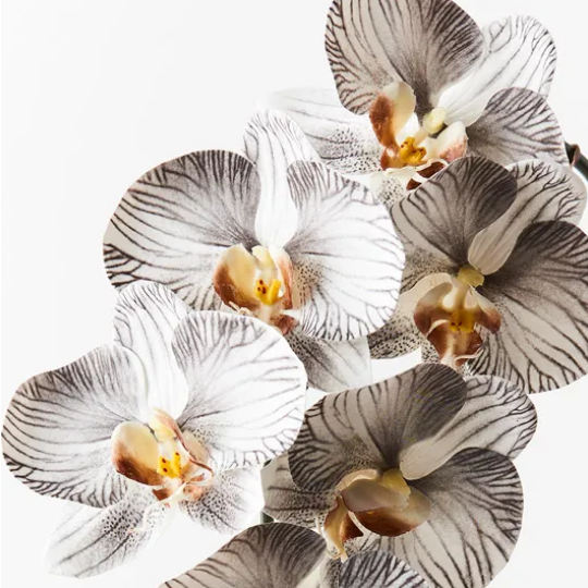 Jardin Orchid Stem Pewter