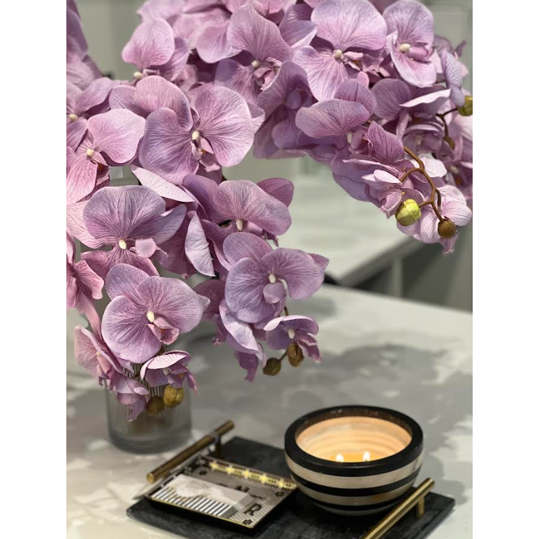 Stella Orchid Stem Lilac