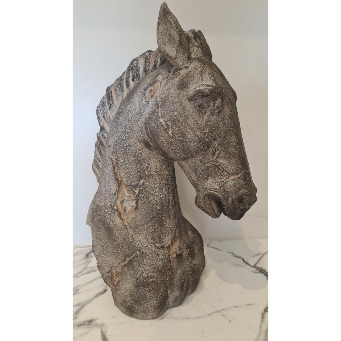 Oliver Horse Bust