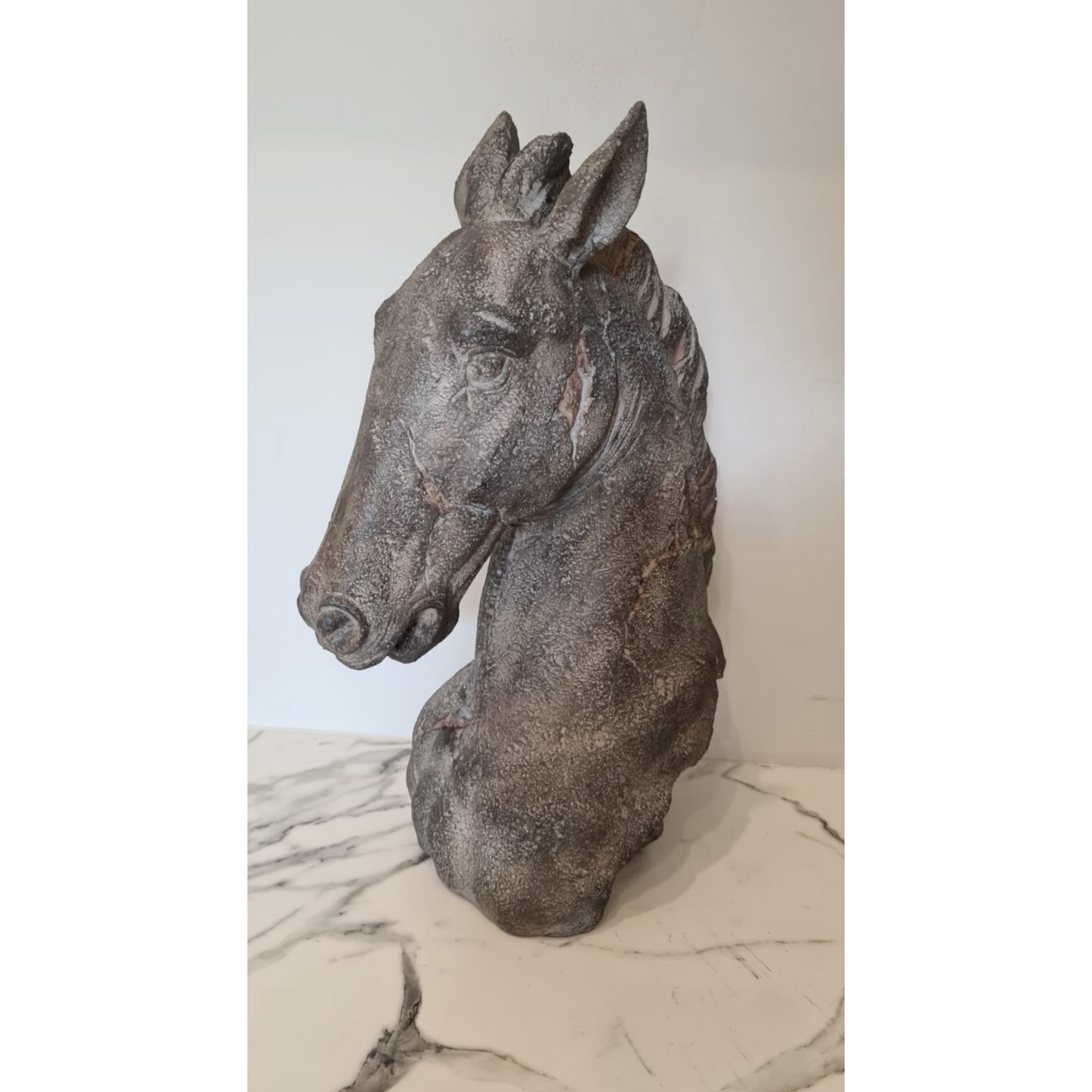Oliver Horse Bust